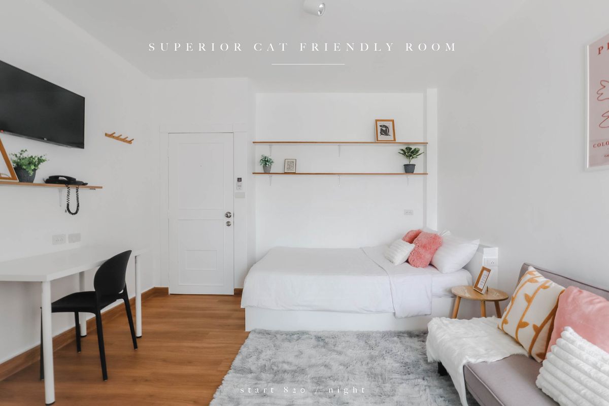 Superior Cat Friendly Room